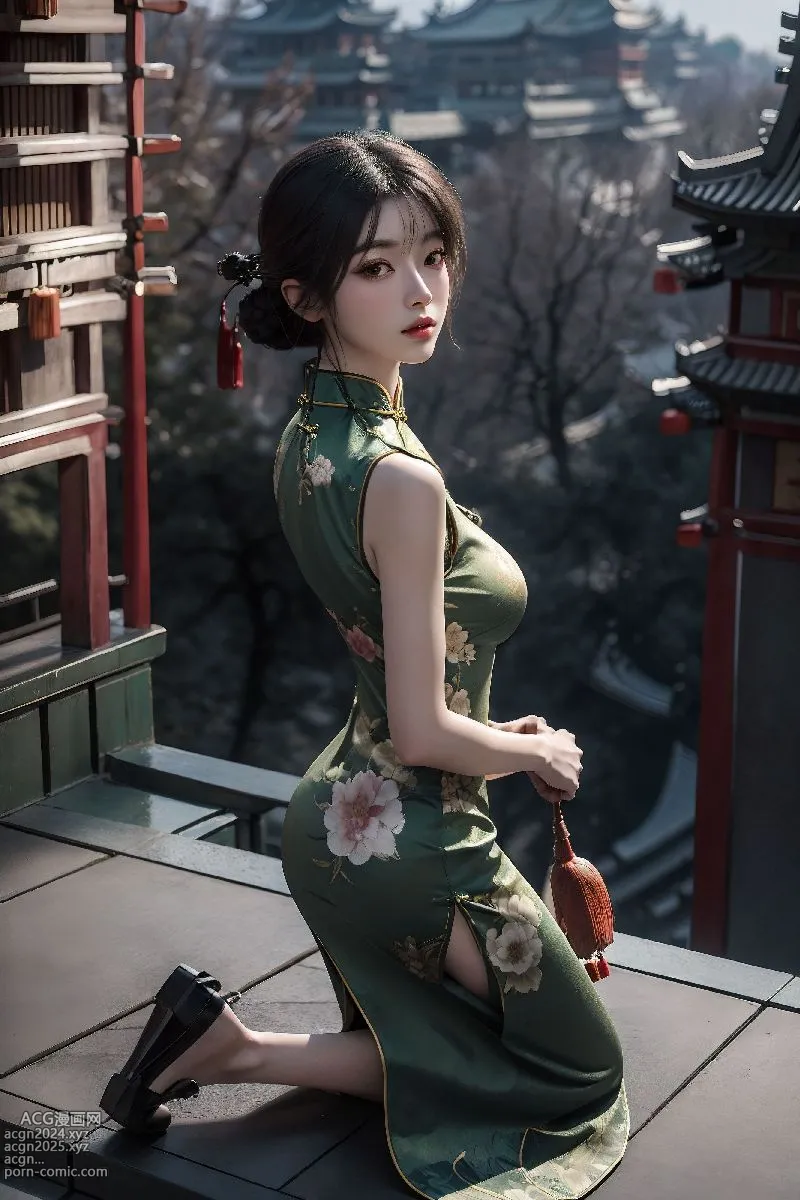 Cheongsam Chinese_extra 第55图