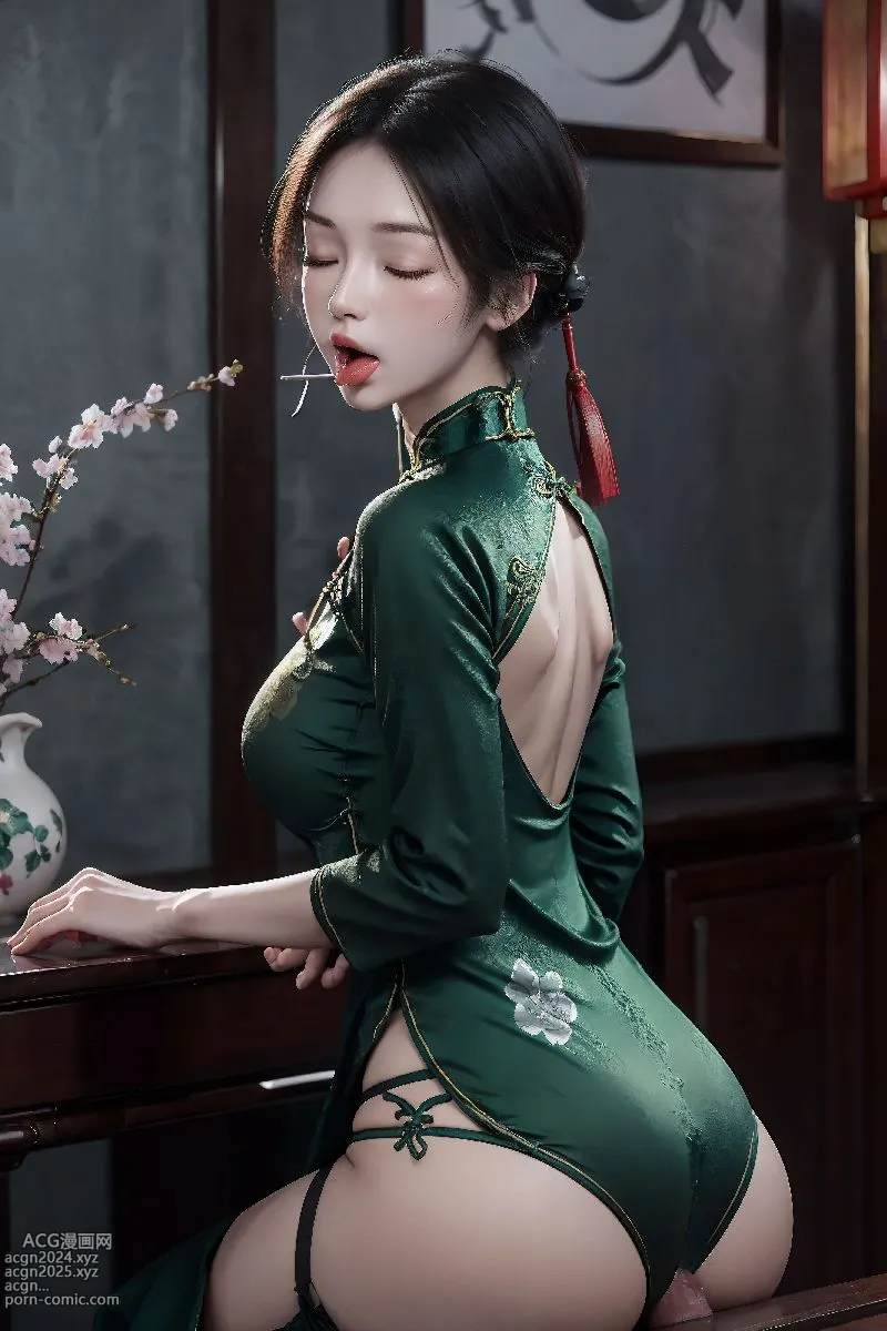 Cheongsam Chinese_extra 第97图