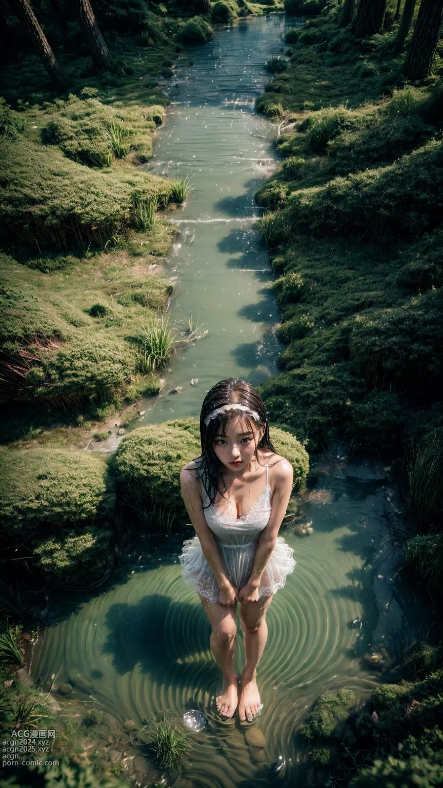 In a foggy forest 第1图