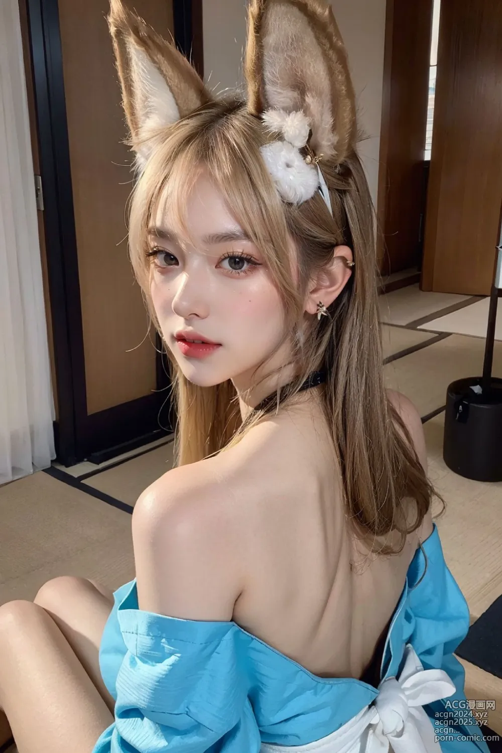 No417 Hina Fairy Fox 第7图