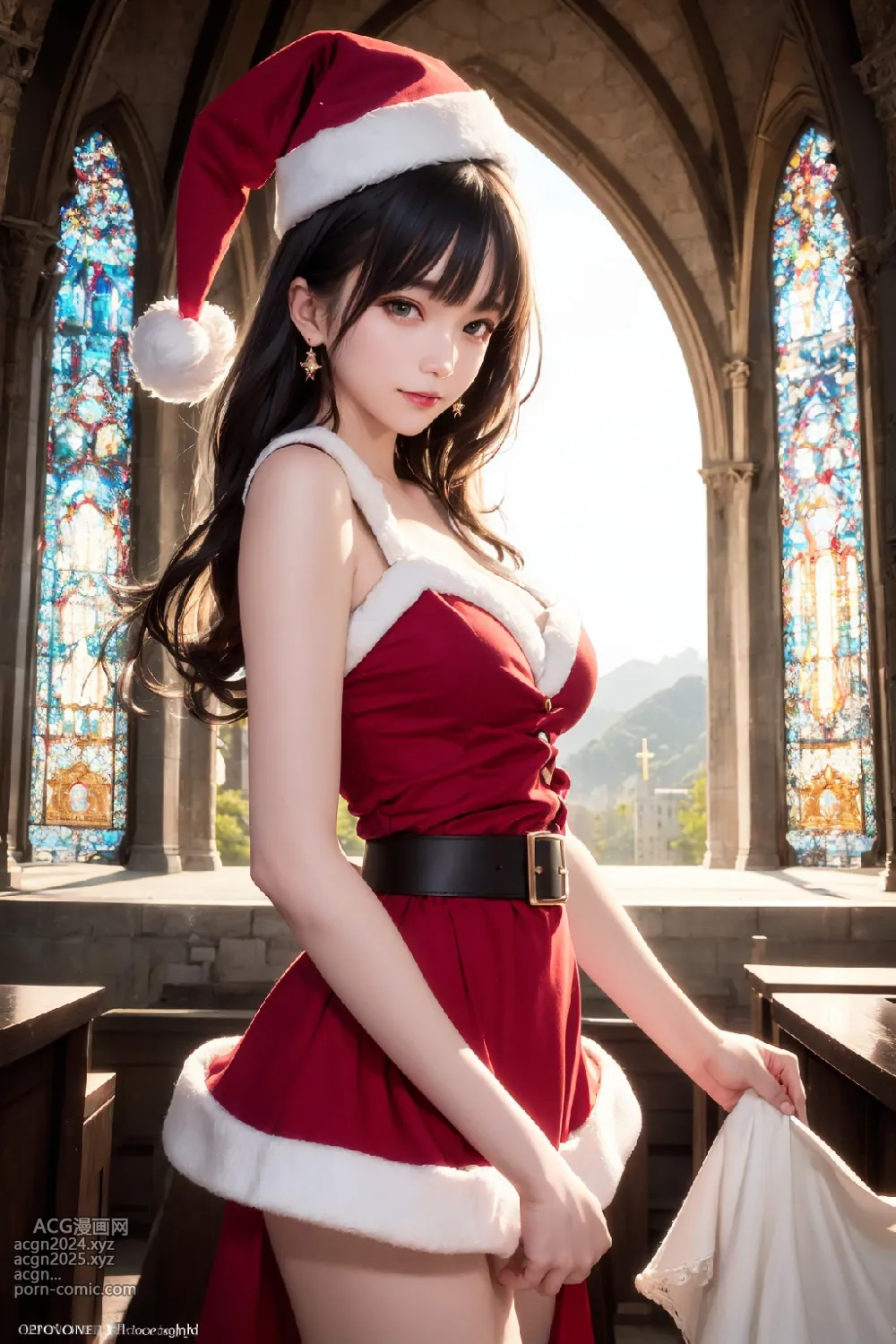 Christmas costume 第1图