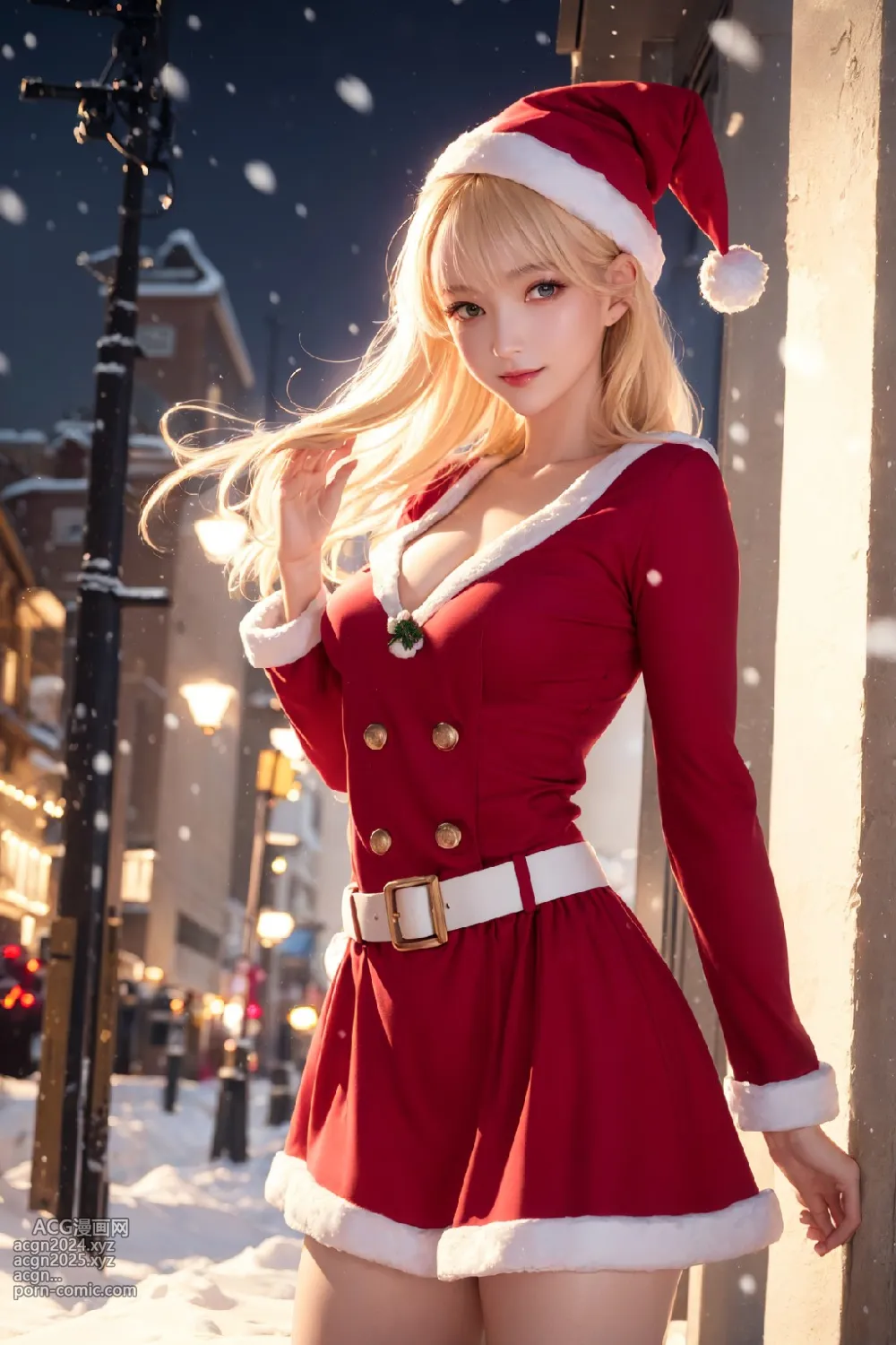 Christmas costume 第4图