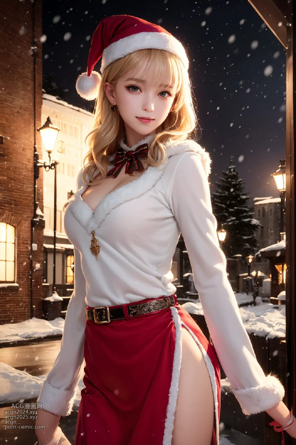 Christmas costume 第5图