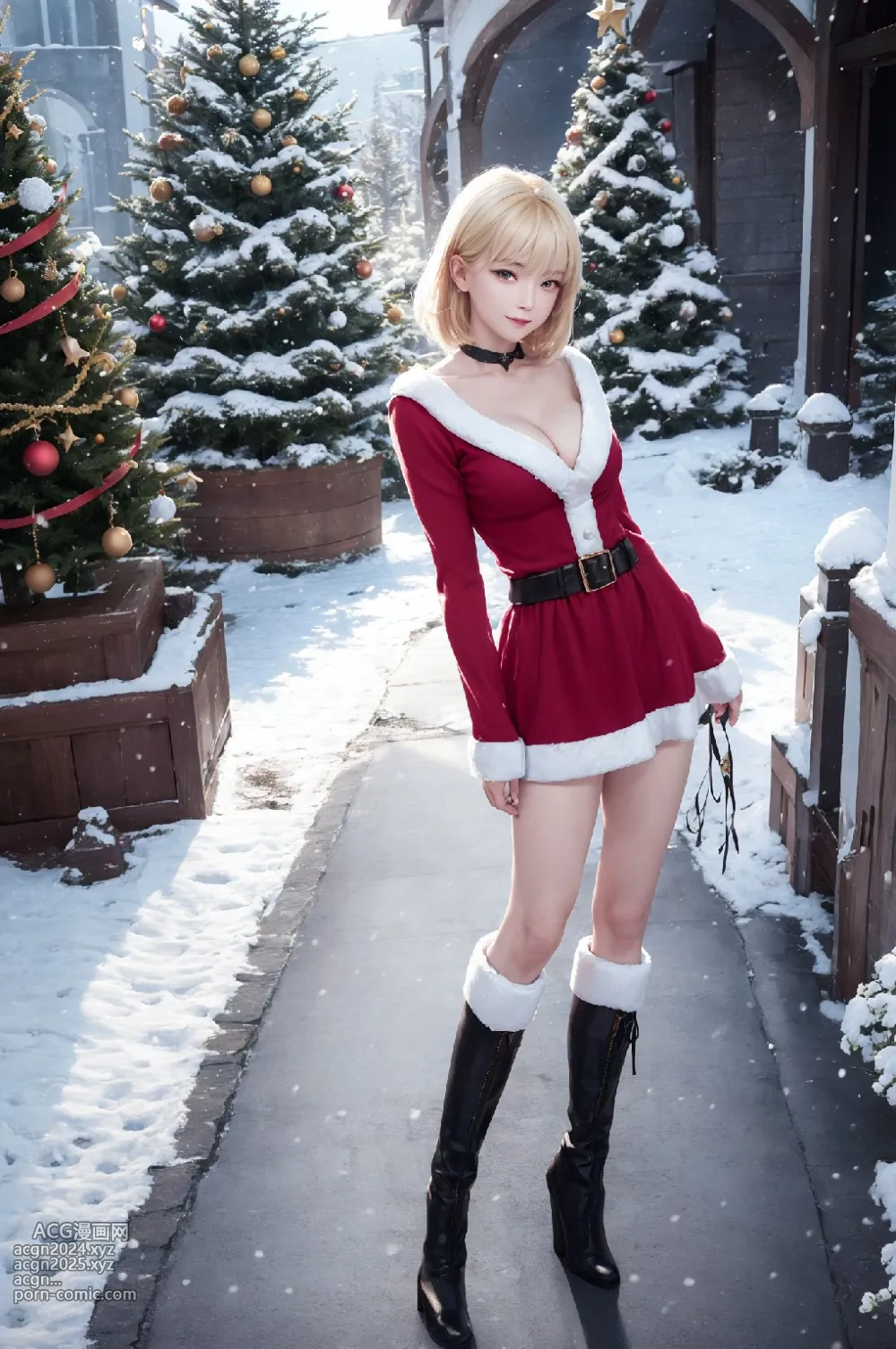 Christmas costume 第10图