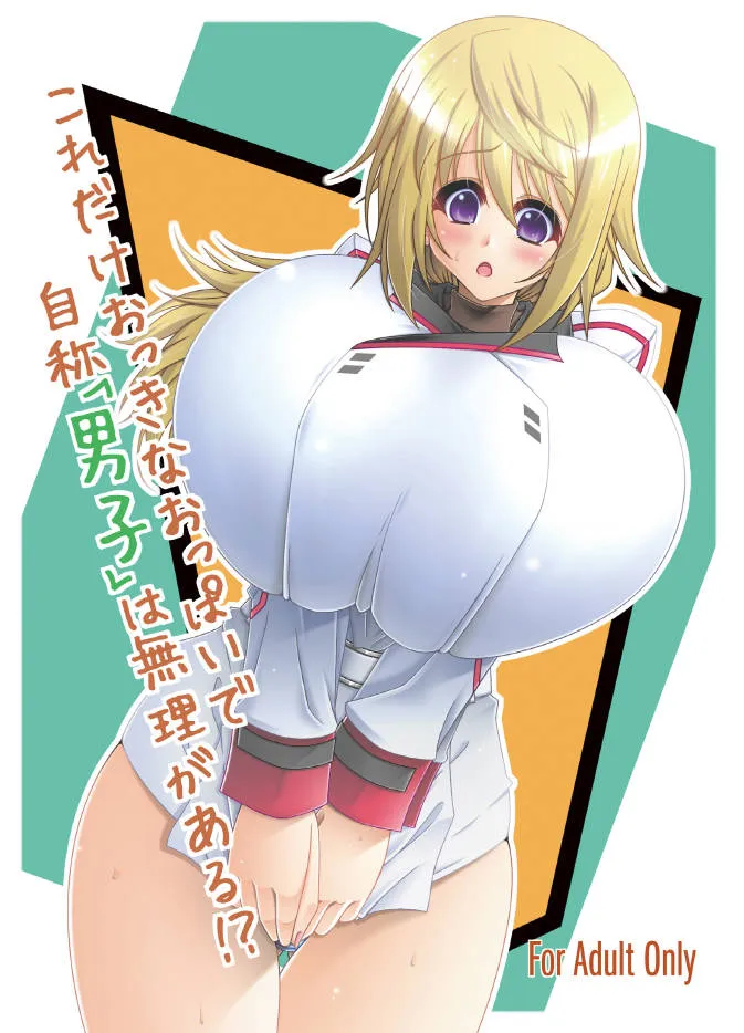 Infinite Stratos,Kore Dake Okkina Oppai De Jisho Danshi Wa Murigaru! ? [Japanese][第1页]