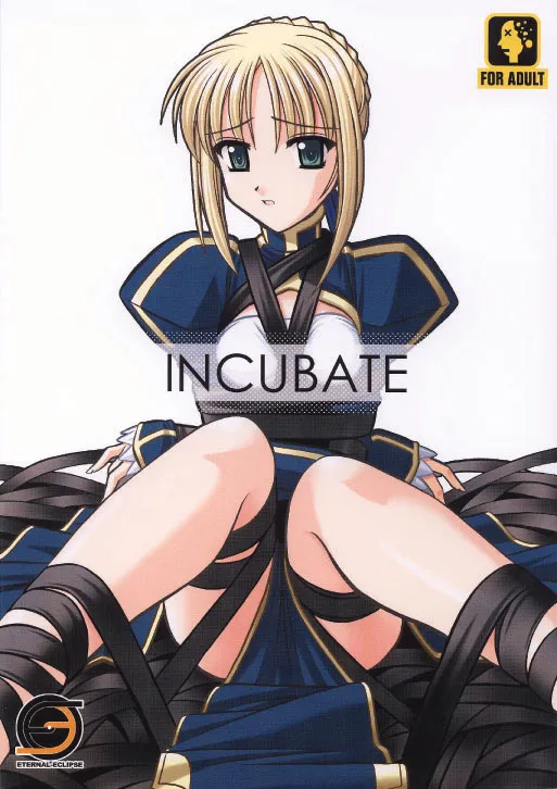 Fate Stay Night,INCUBATE [Japanese][第1页]