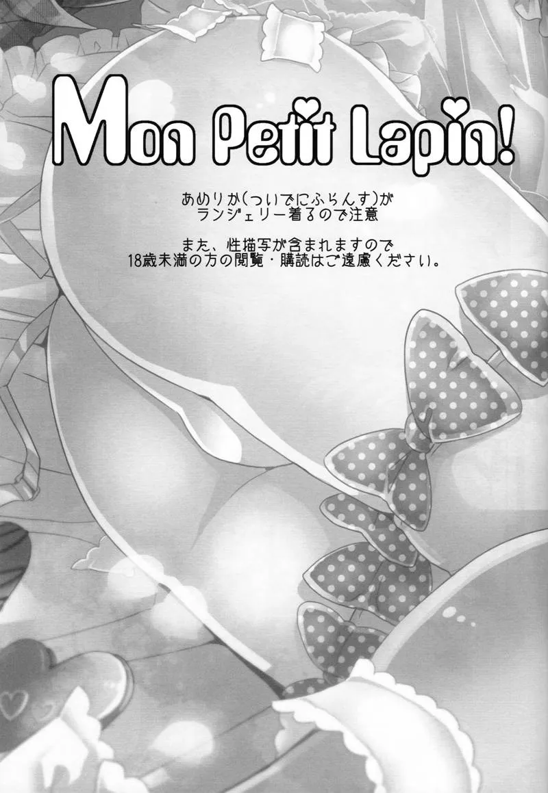 Axis Powers Hetalia,Mon Petit Lapin! [English][第2页]