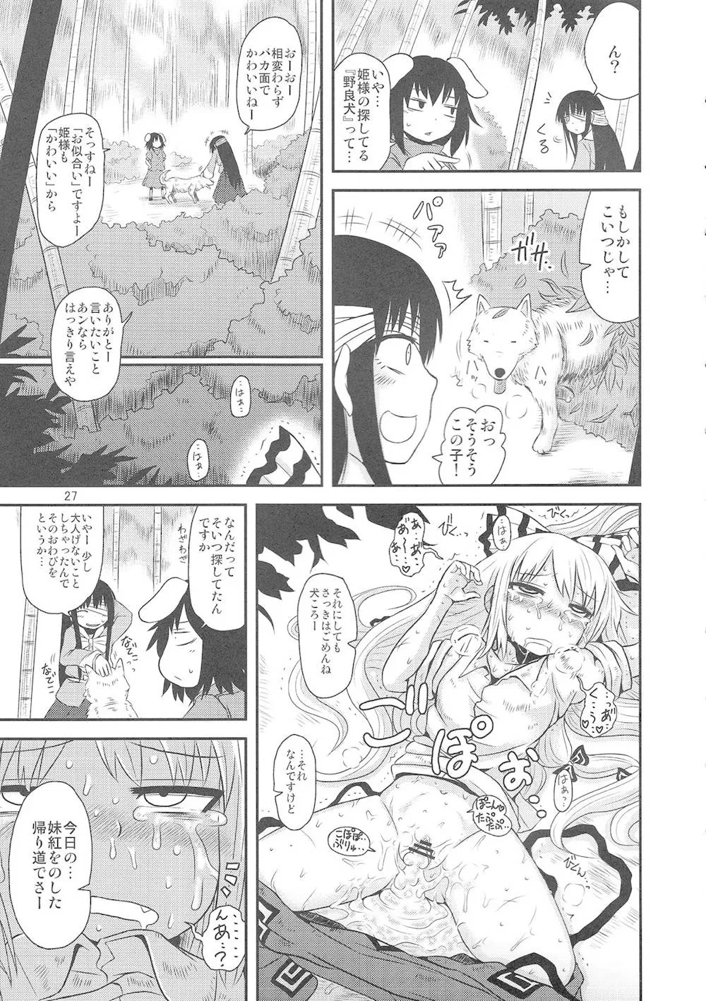 Touhou Project,SURUDAKE 3 [Japanese][第25页]