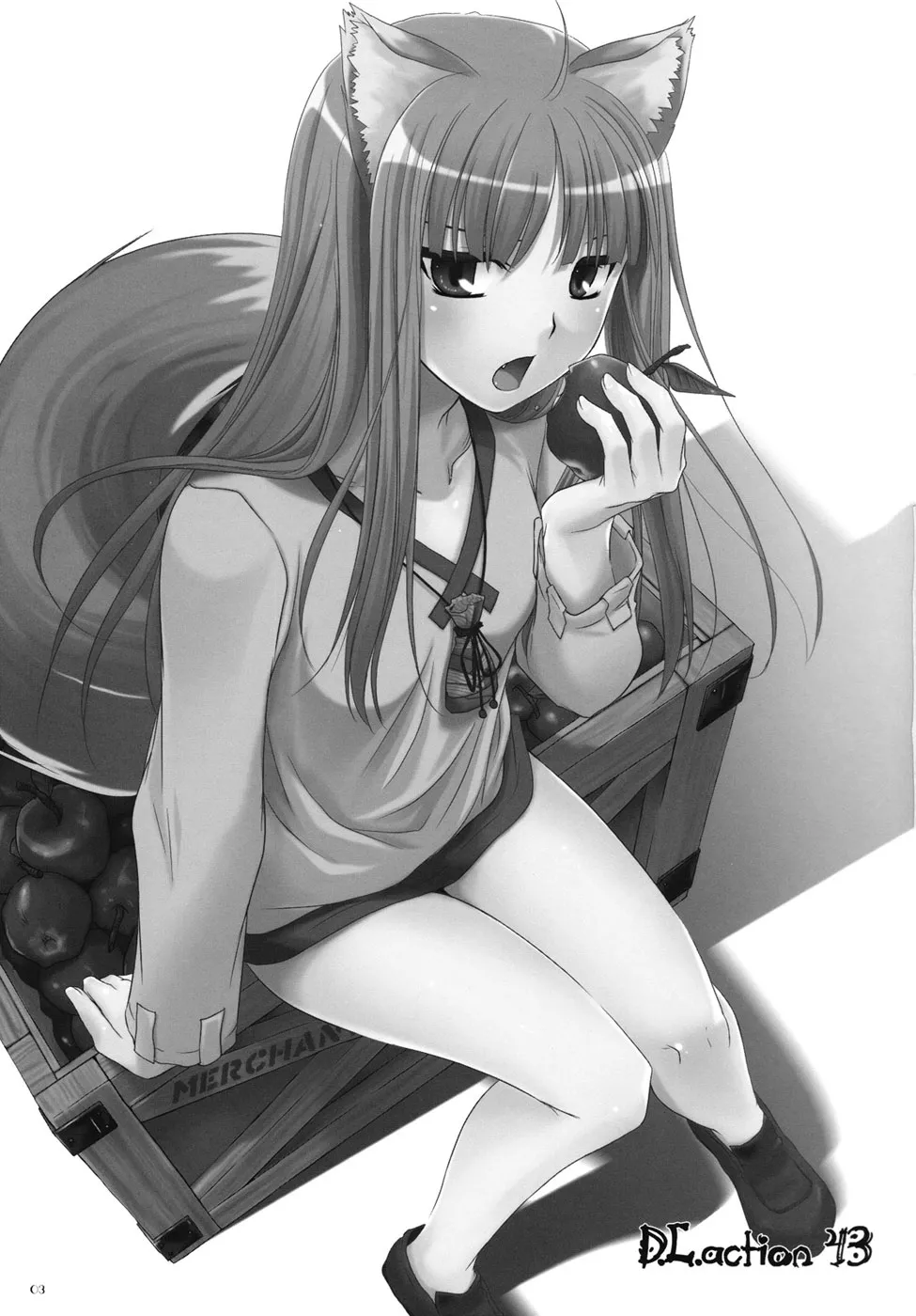 Spice And Wolf,D.L. Action 43 [English][第2页]