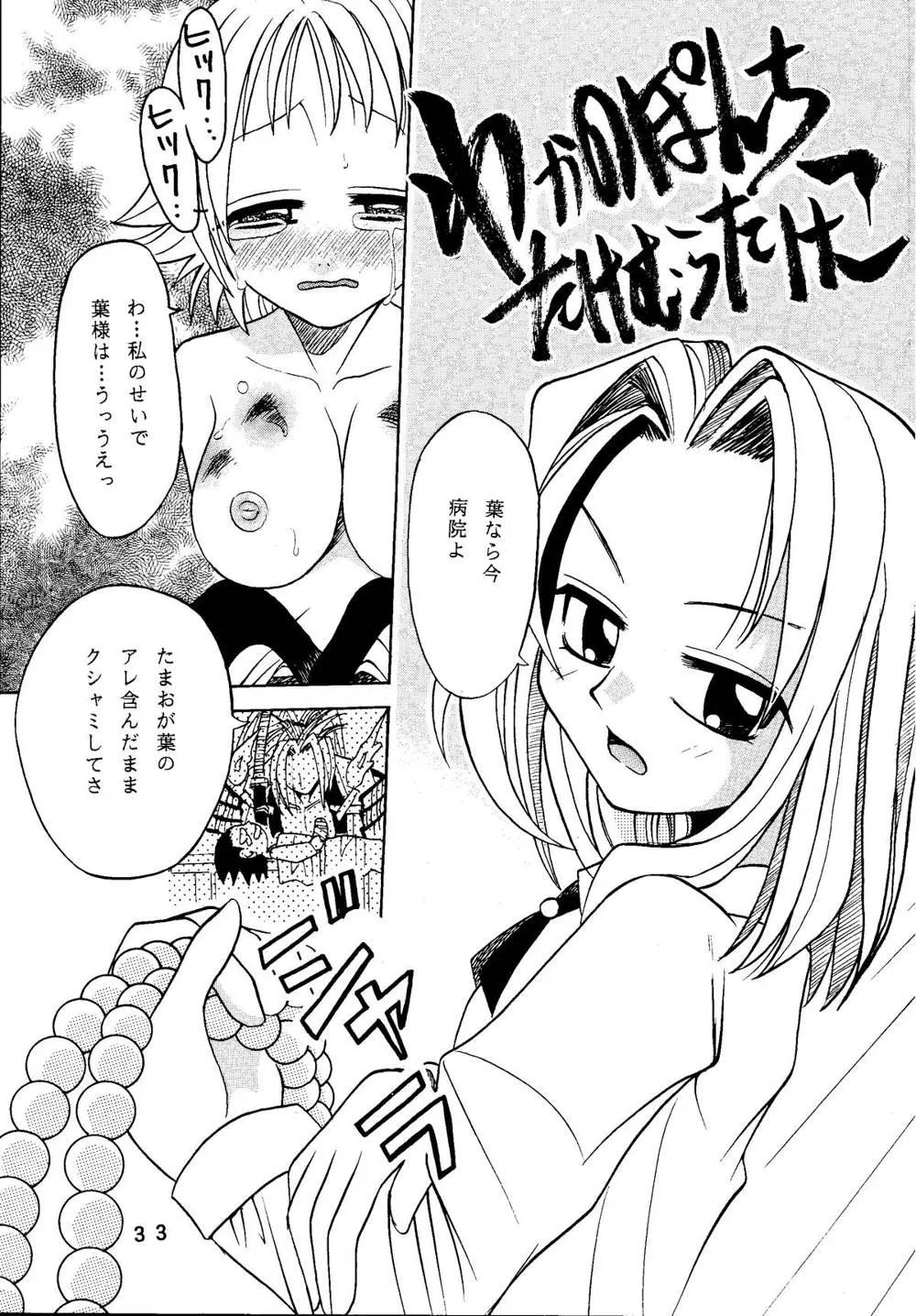 DigimonOne PieceShaman King,Latinum Narikin [Japanese][第33页]