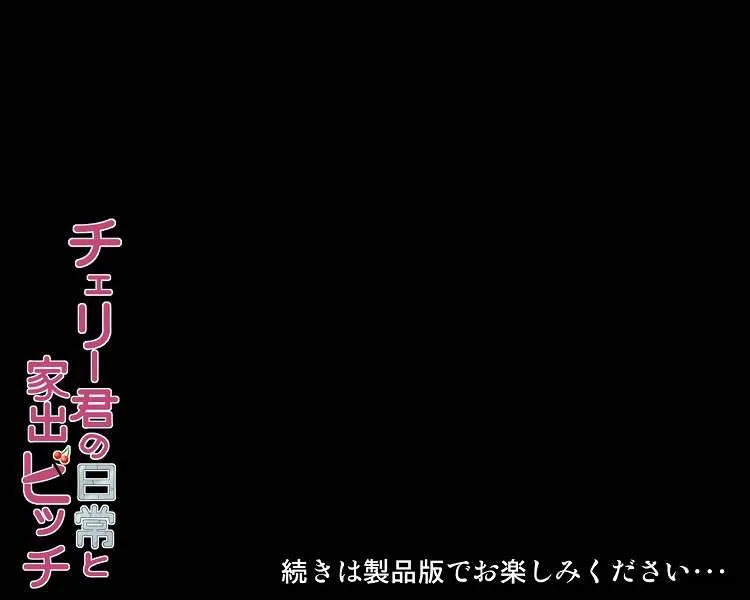 Original,チェリー君の日常と家出ビッチ [Japanese][第29页]