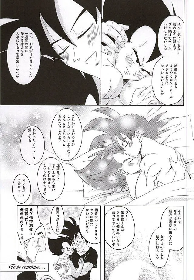 Dragon Ball Z,Dear2 [Japanese][第27页]