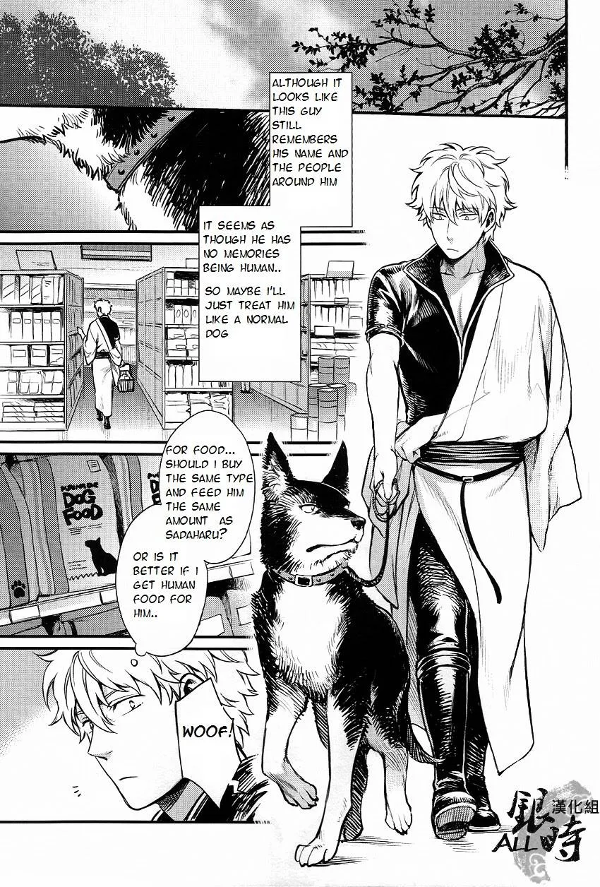 Gintama,HOW To SPOIL YOUR DOG [English][第13页]