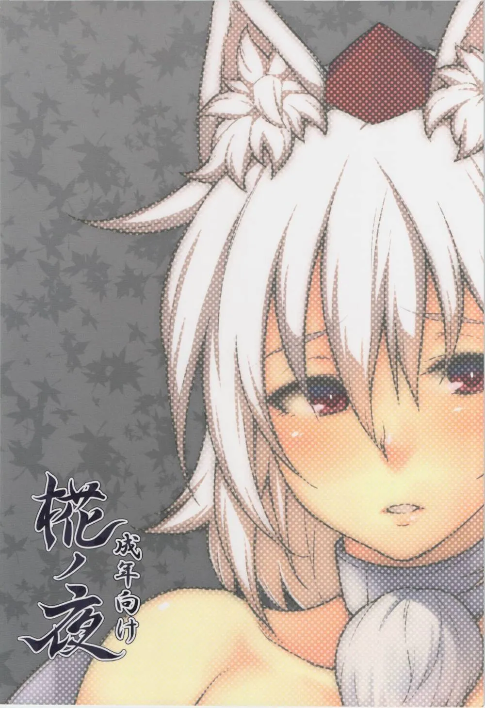 Touhou Project,Momiji No Yoru [English][第2页]