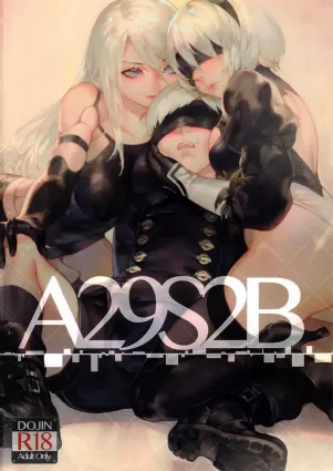 A29S2B