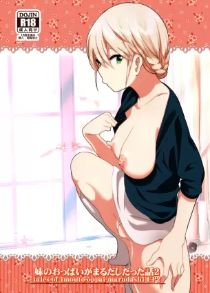 Imouto no Oppai ga Marudashi Datta Hanashi 2