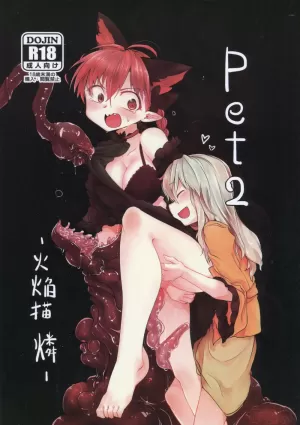 pet 2 -Kaenbyou Rin-