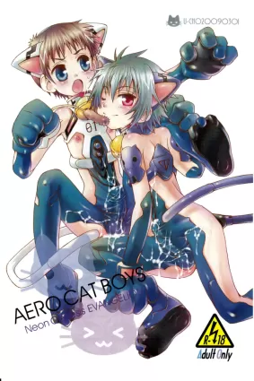 Aero Cat Boys