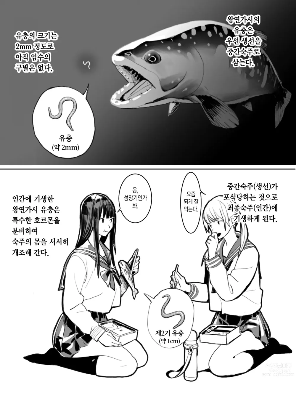 Page 3 of doujinshi  왕연가시의 생태