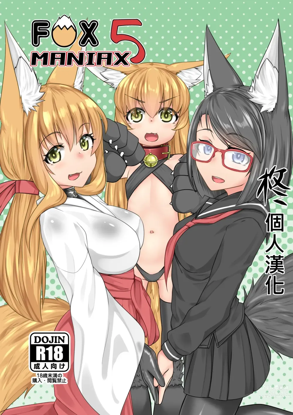 Page 1 of doujinshi FOX MANIAX5