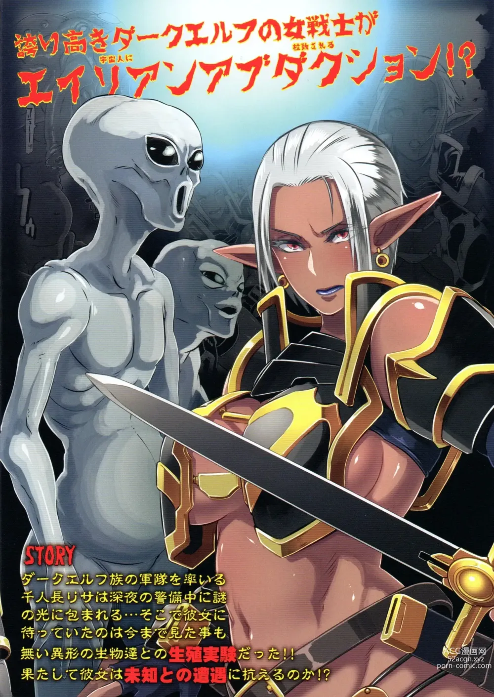 Page 30 of doujinshi DARK ELF vs ALIEN (decensored)