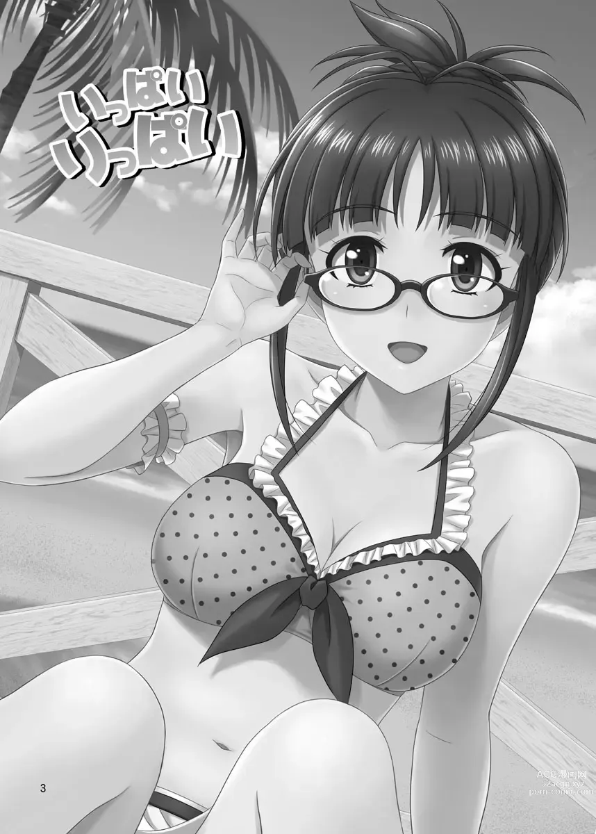 Page 3 of doujinshi Ippai Rippai