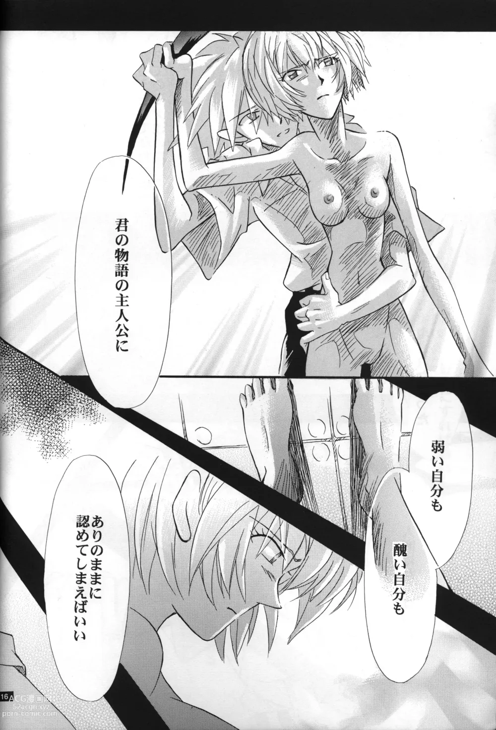 Page 17 of doujinshi <Shinyaku> NEON GENESIS document R