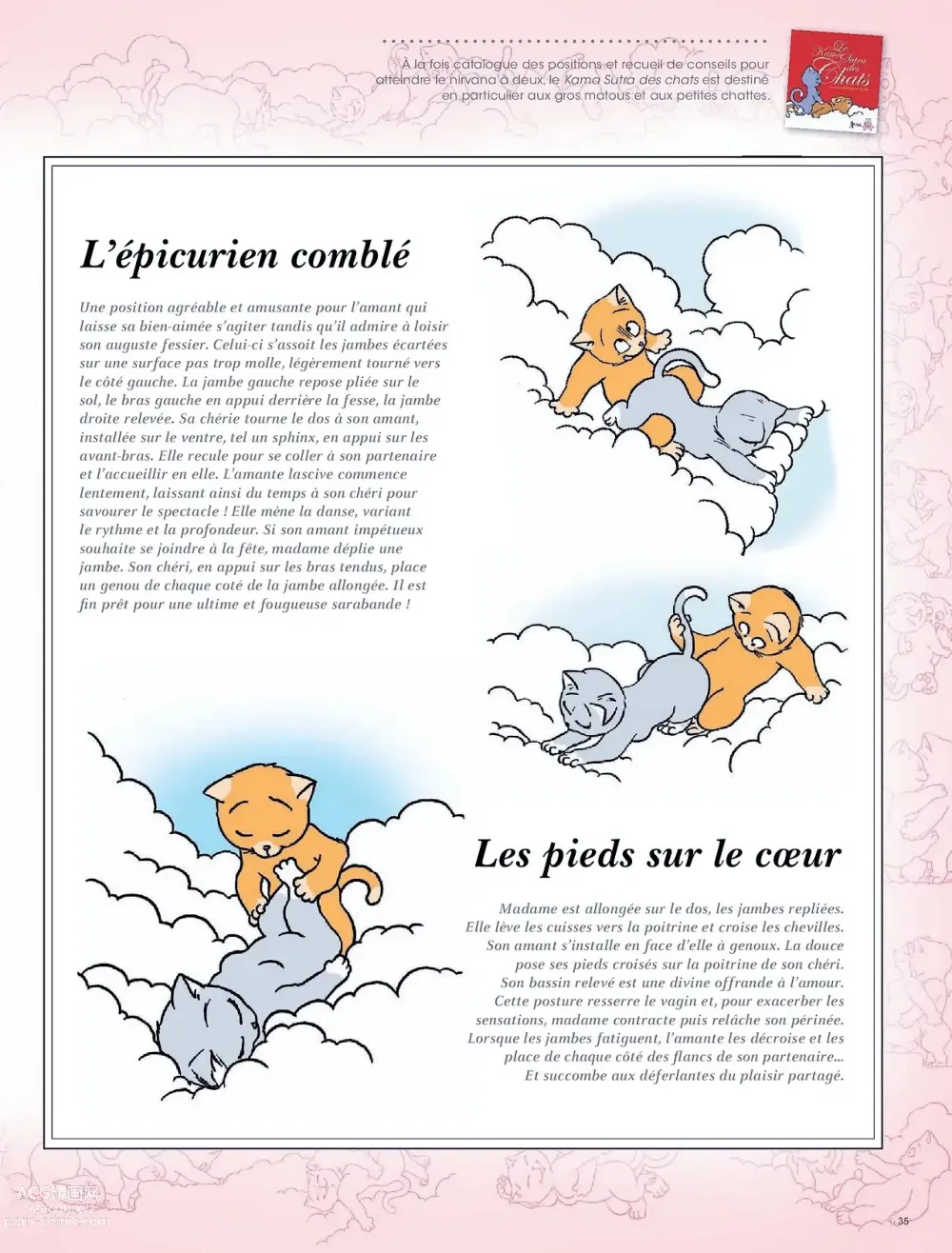 Page 35 of doujinshi Limmanquable - HS08 - Kamasutra - Décembre 2013 - French