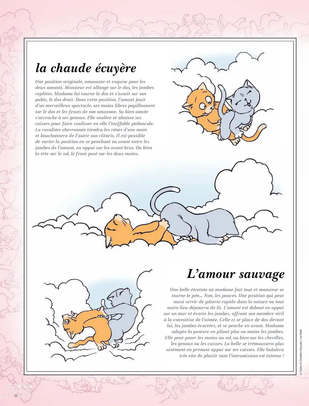 Page 38 of doujinshi Limmanquable - HS08 - Kamasutra - Décembre 2013 - French