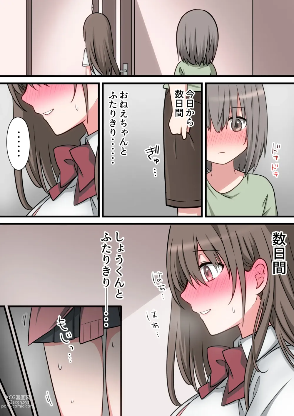 Page 6 of doujinshi Seiyoku Tsuyome na Onee-chan to Icha Love Orusuban Ecchi!