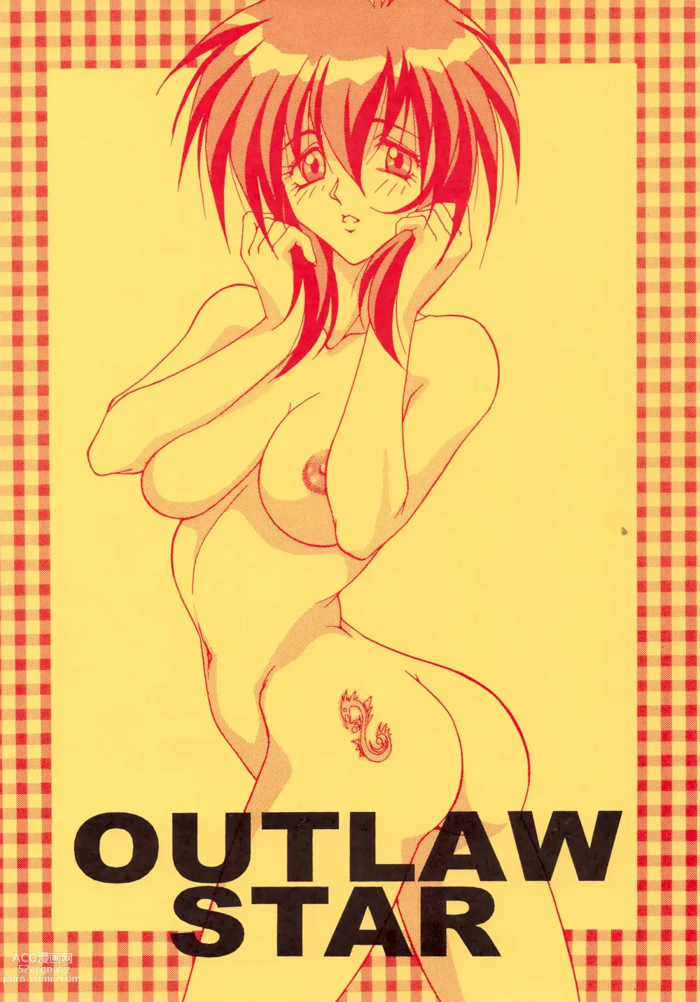 Page 30 of doujinshi Seihou Bukyou OUTLAW STAR