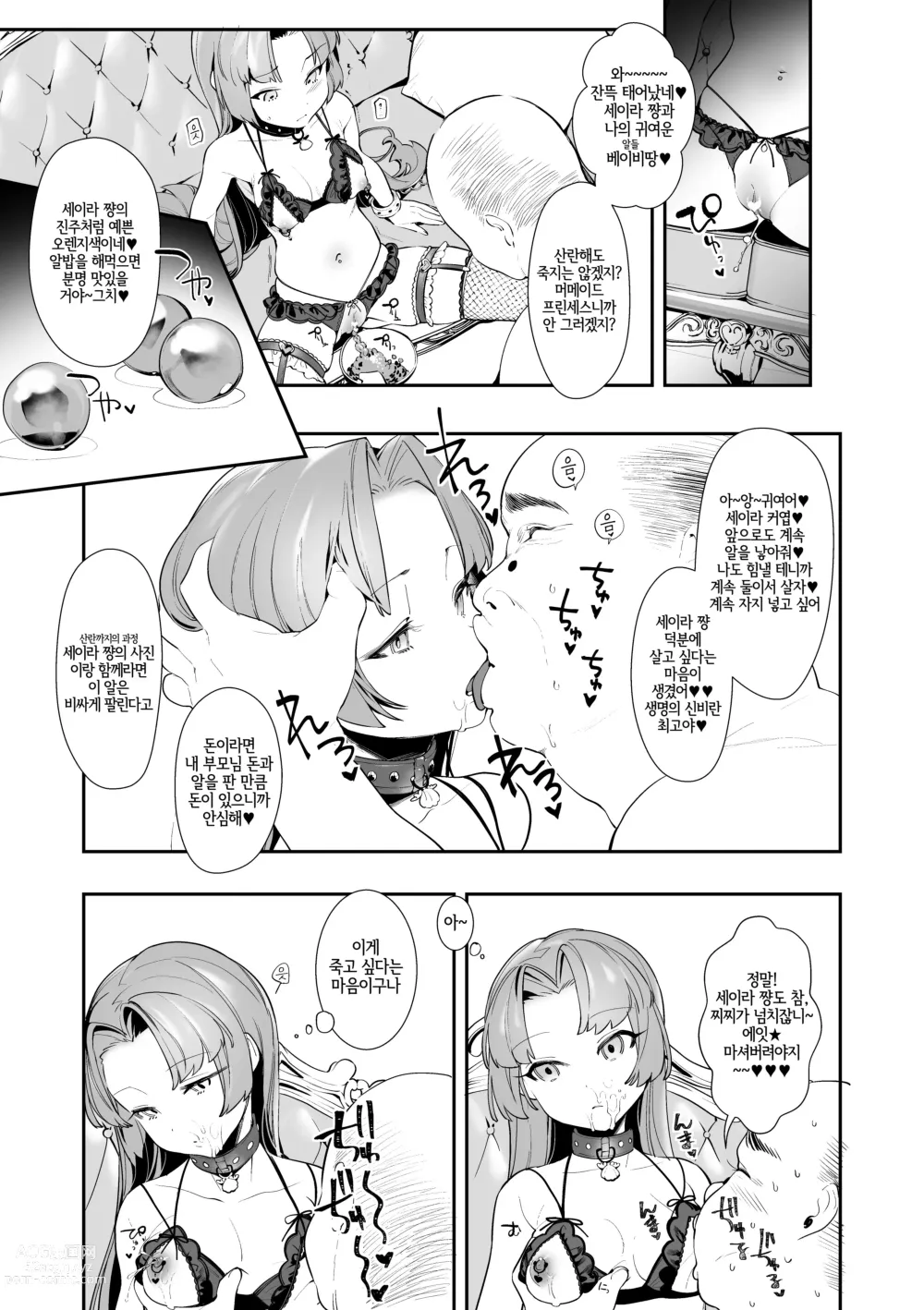 Page 17 of doujinshi 세이라 쨩의 화원을 짓밟아버리자!!