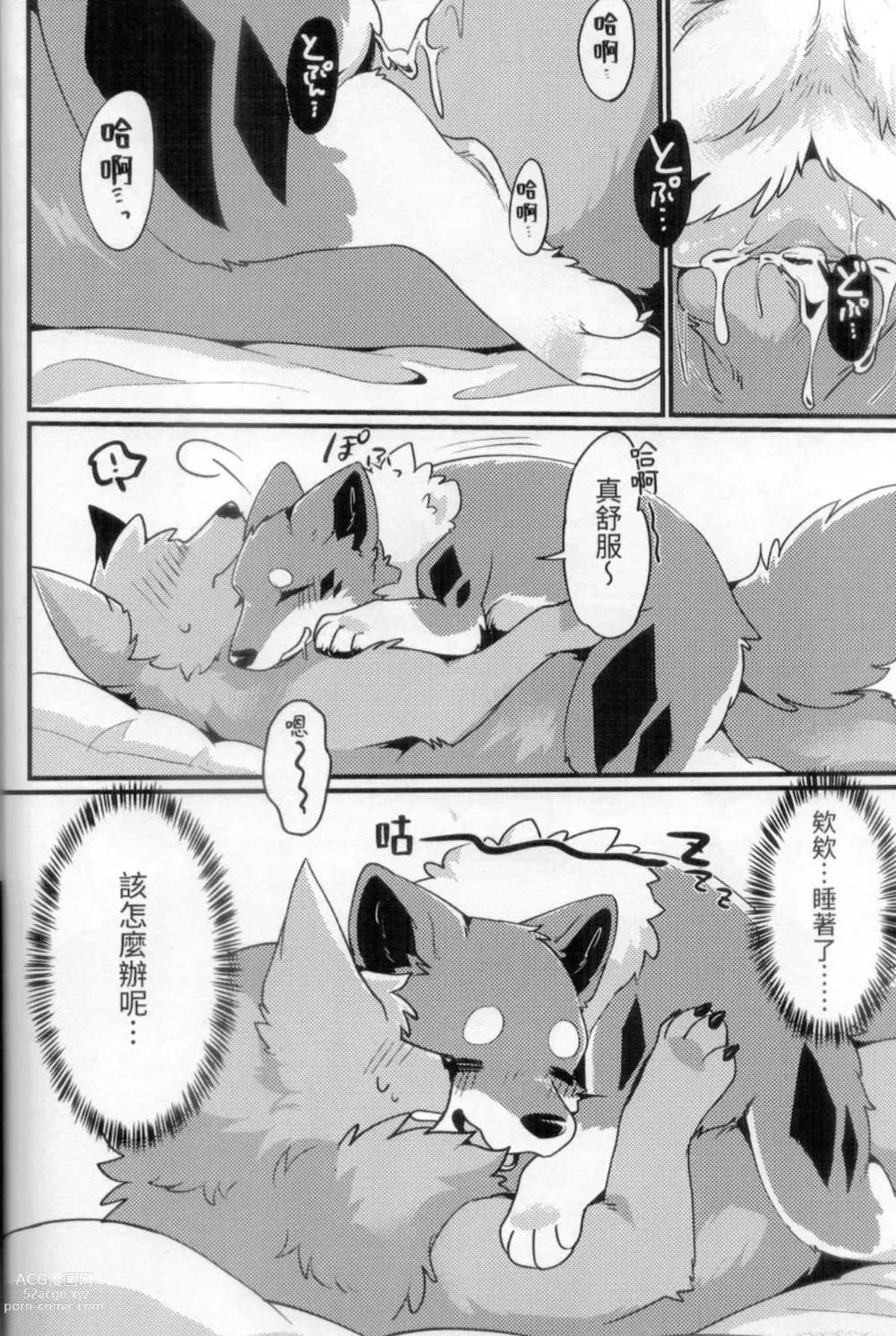 Page 17 of doujinshi 狐犬台灣美食旅