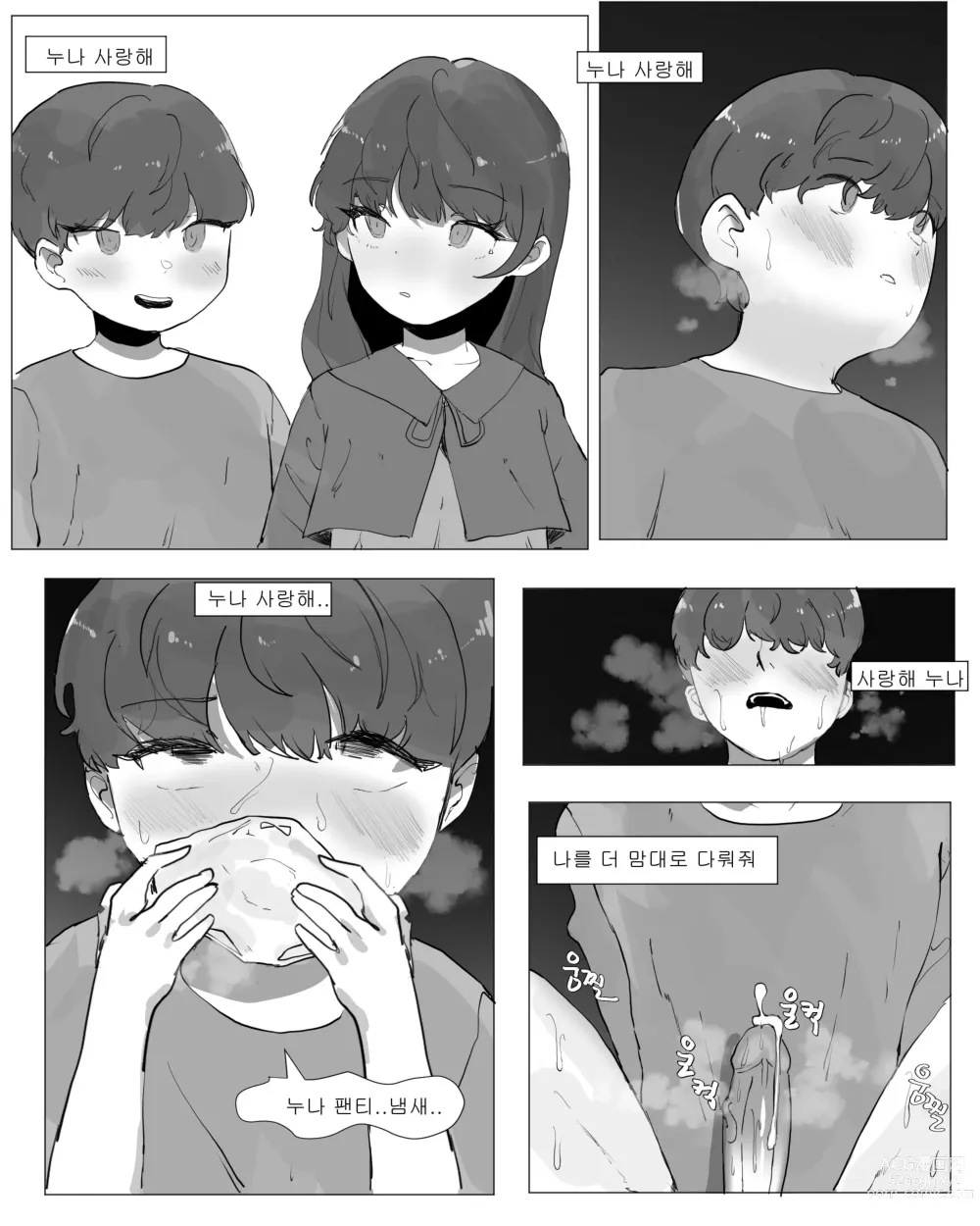 Page 12 of doujinshi 친누나한테 펨돔조교 당하는 만화