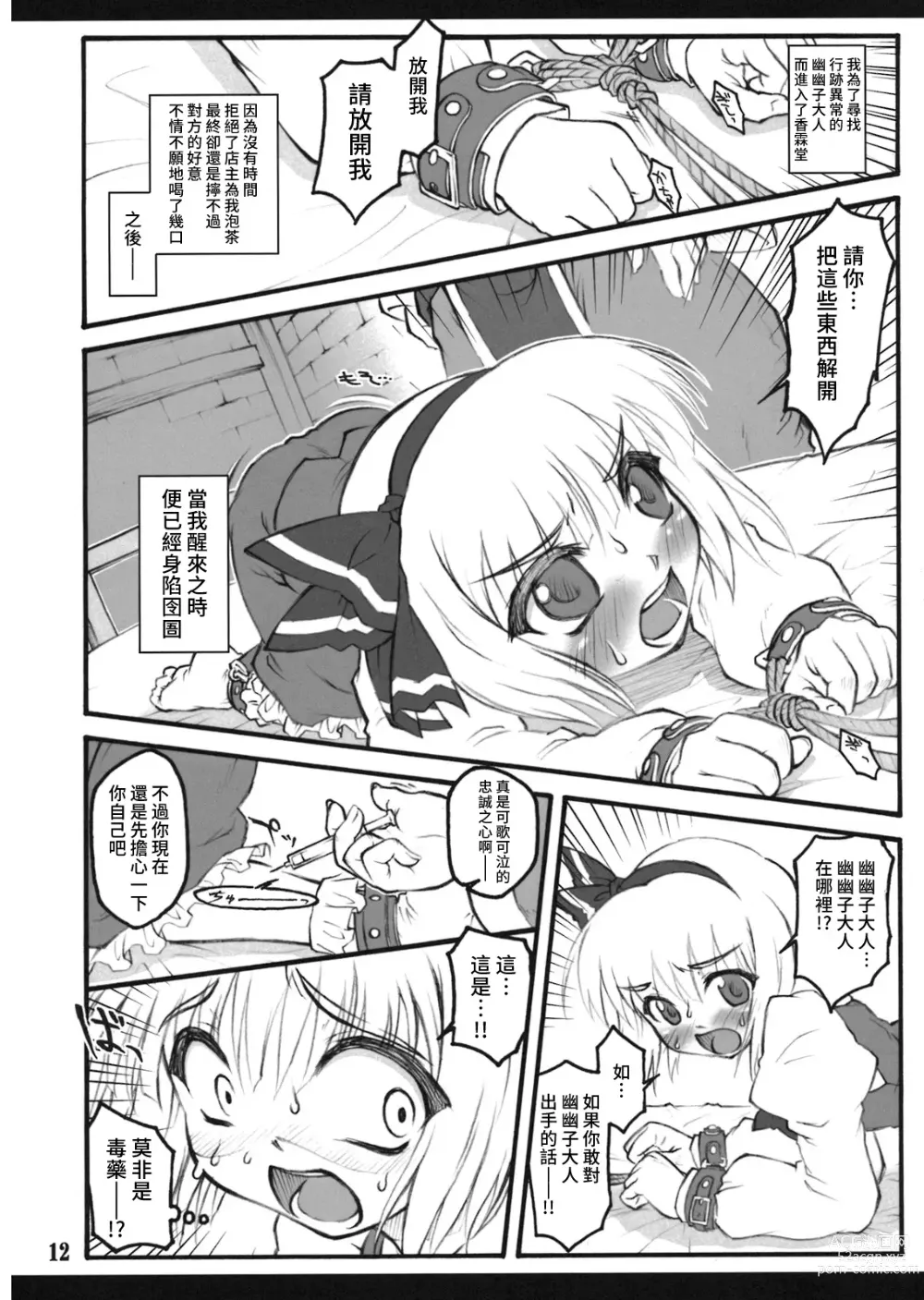 Page 11 of doujinshi Youmu ~Touhou Shoujo Saiin~