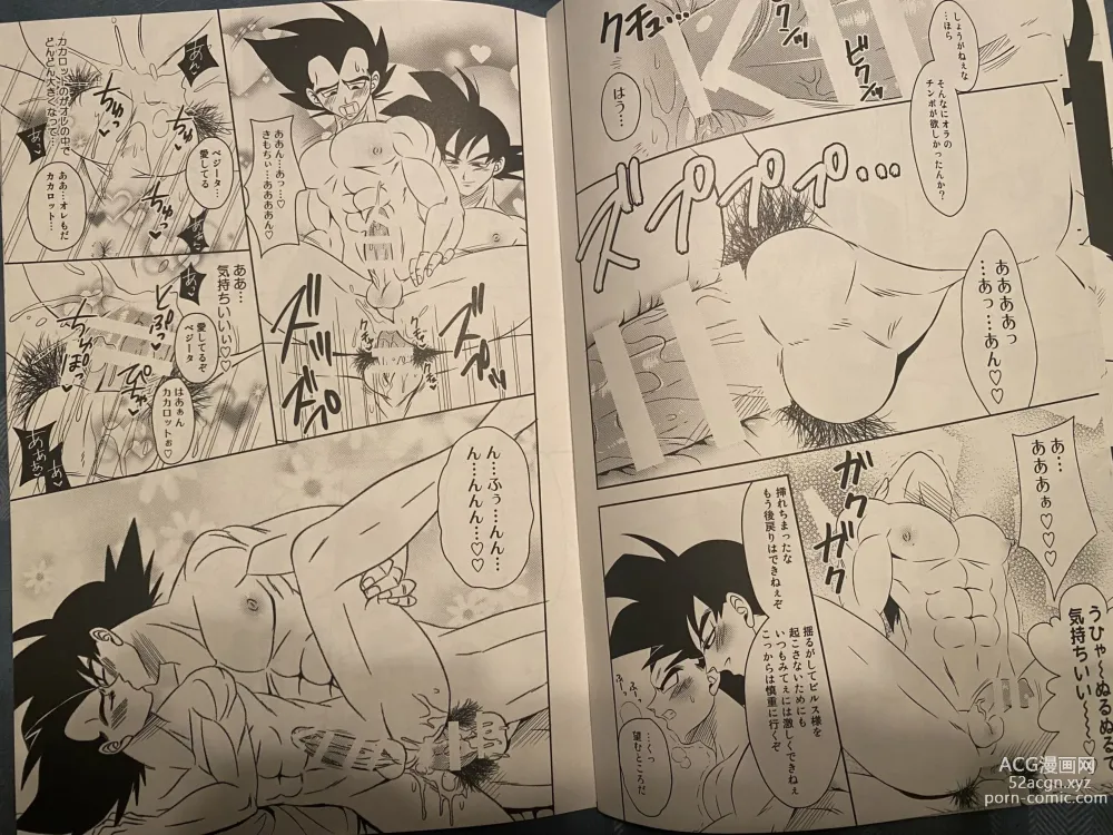 Page 5 of doujinshi Vegeta x goku