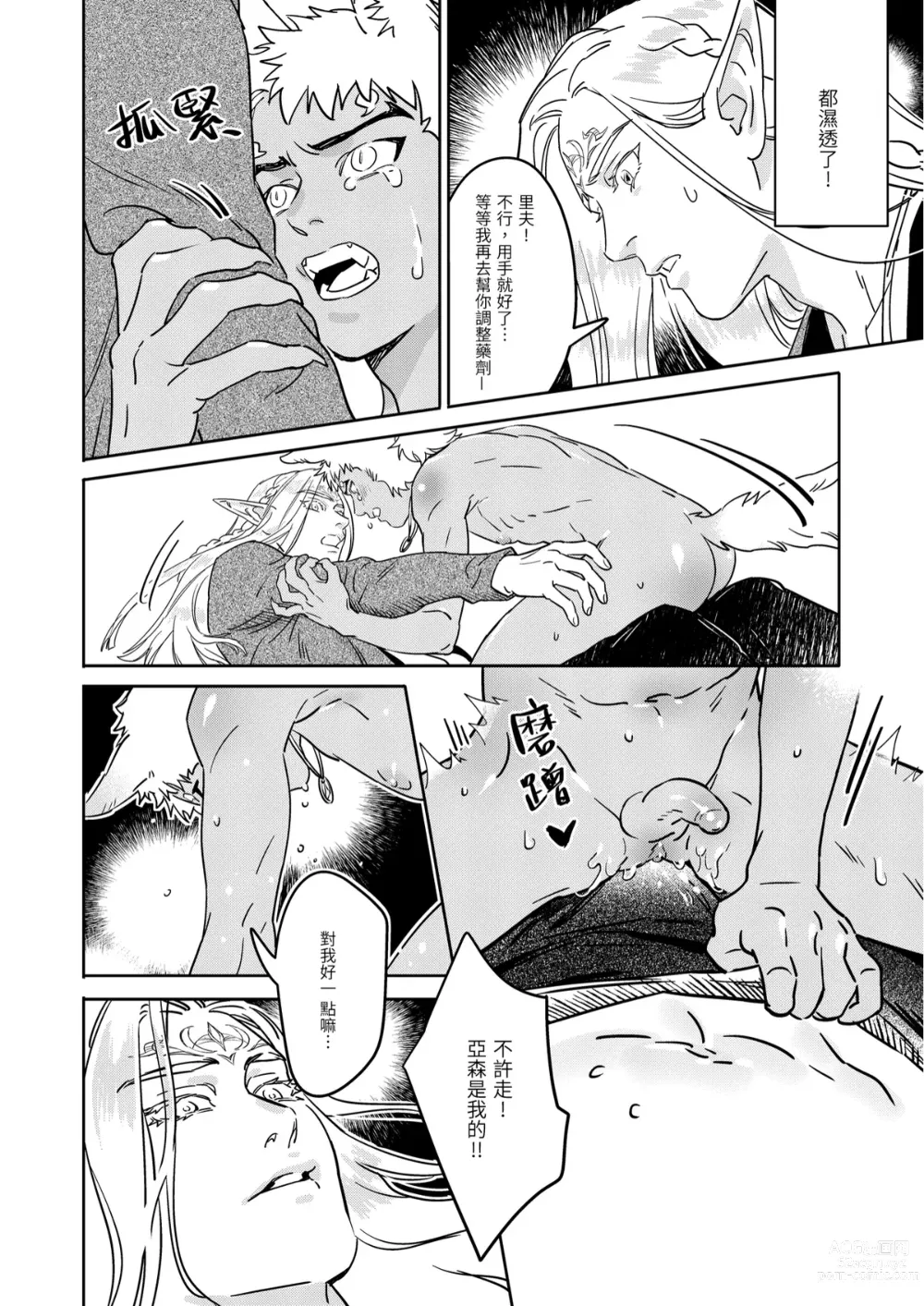 Page 20 of doujinshi 精靈與半獸人