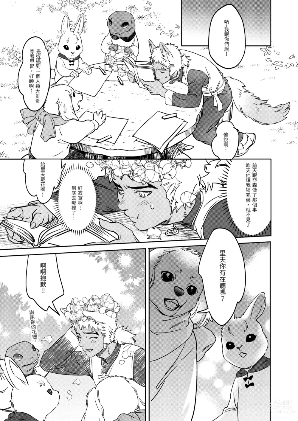 Page 29 of doujinshi 精靈與半獸人