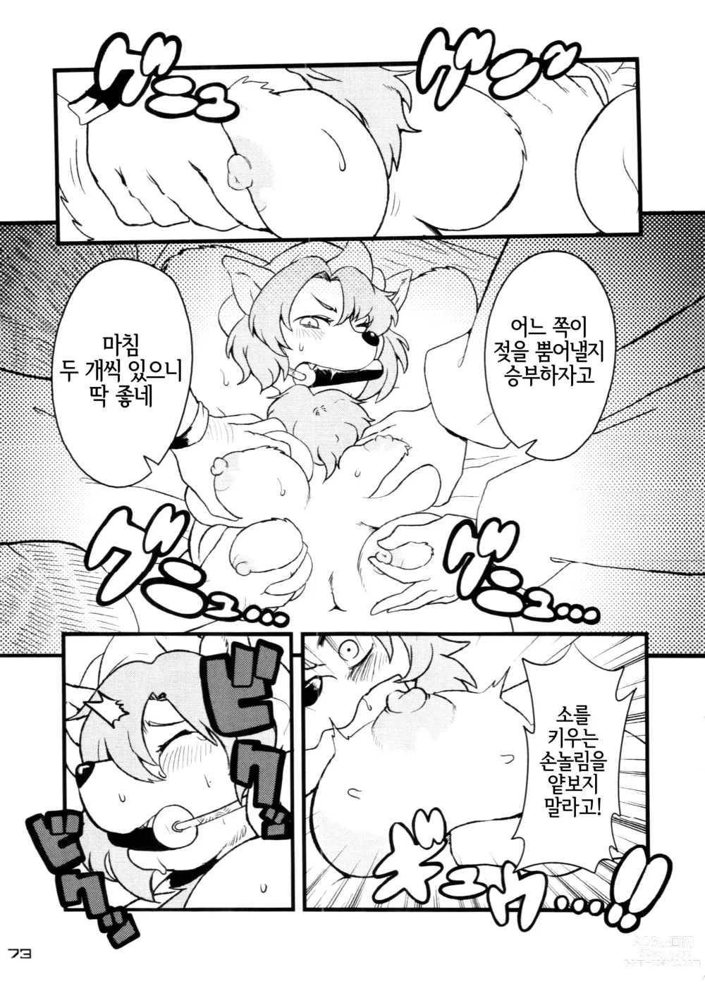 Page 73 of doujinshi Touhou PLUMFUR 4