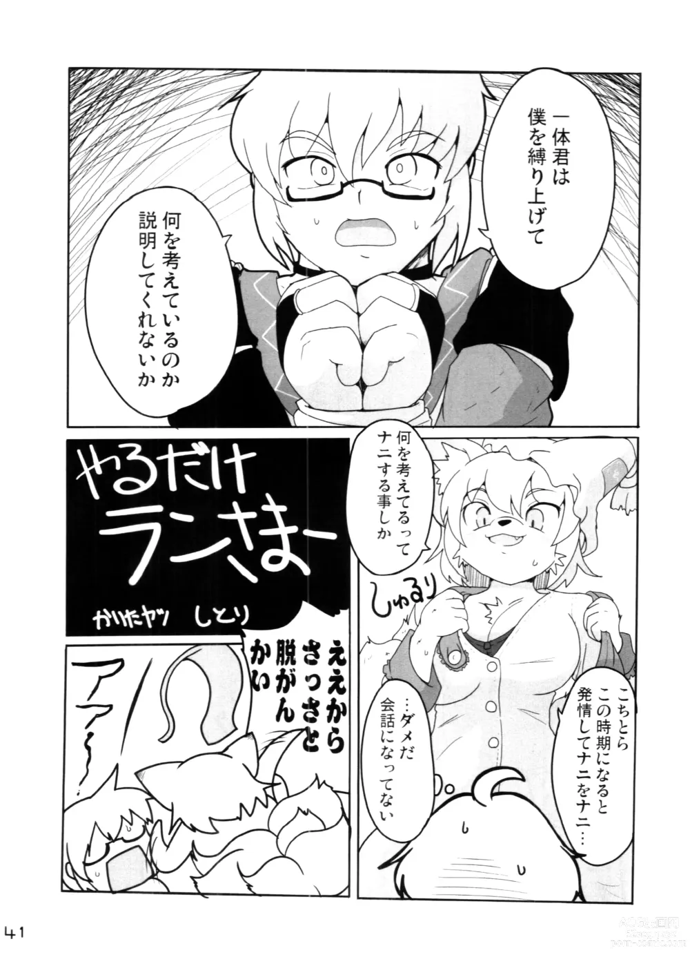 Page 41 of doujinshi Touhou PLUMFUR 4