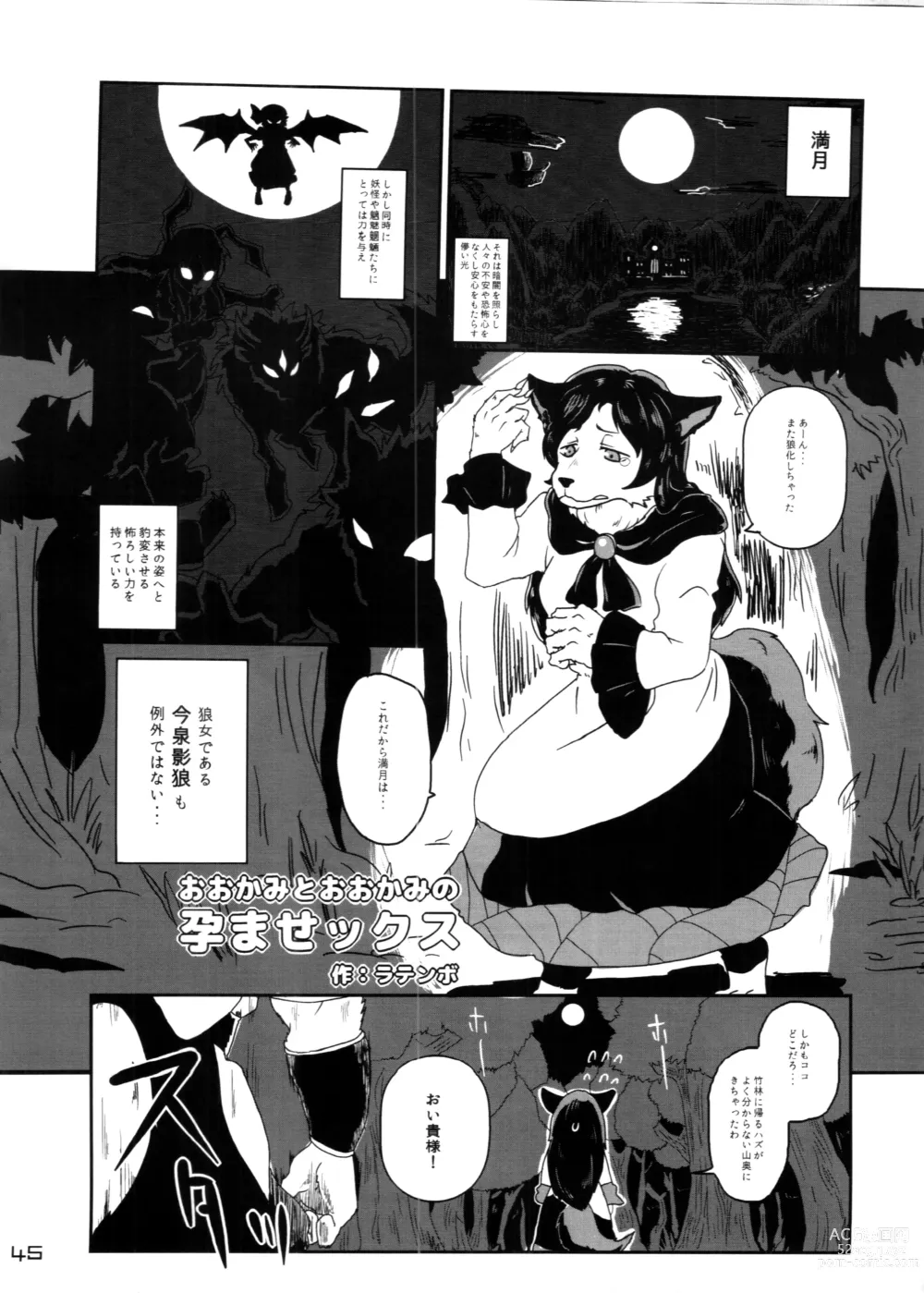 Page 45 of doujinshi Touhou PLUMFUR 4