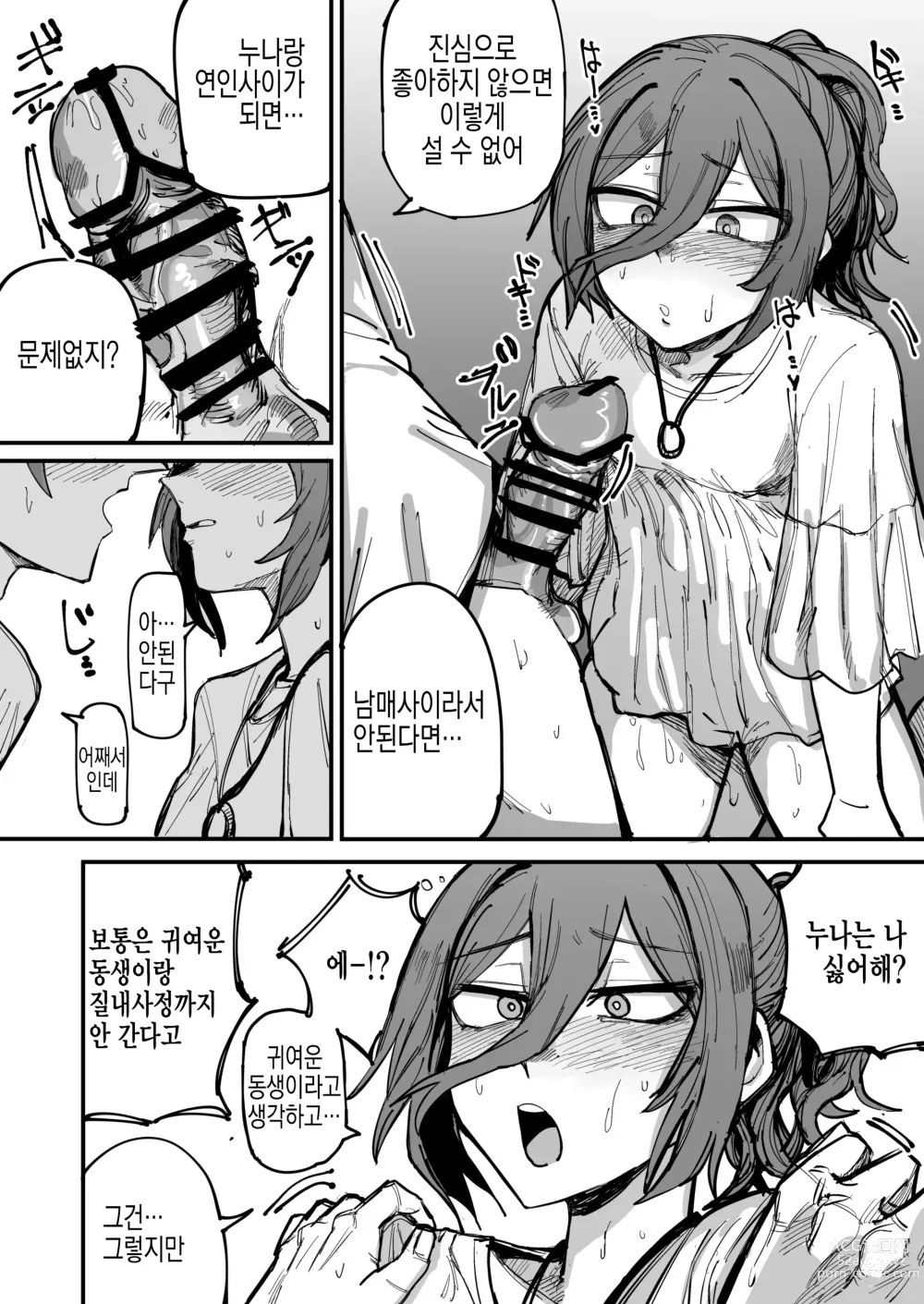 Page 27 of doujinshi 누나가 연인이 되기까지