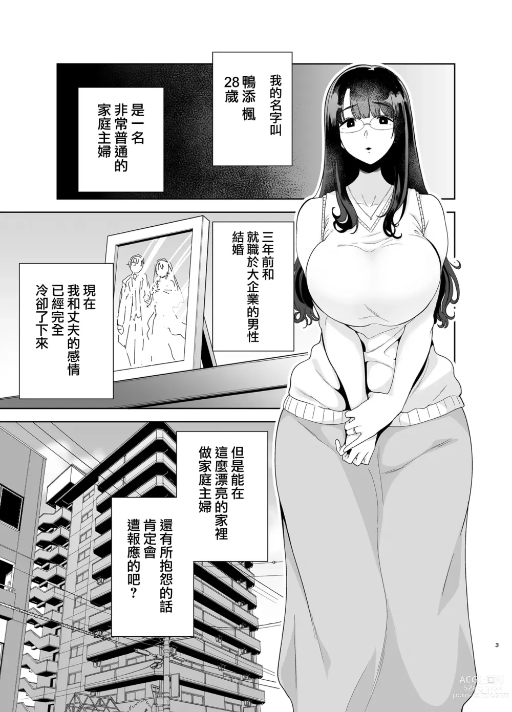 Page 4 of doujinshi ワイルド式日本人妻の寝取り方 総集編