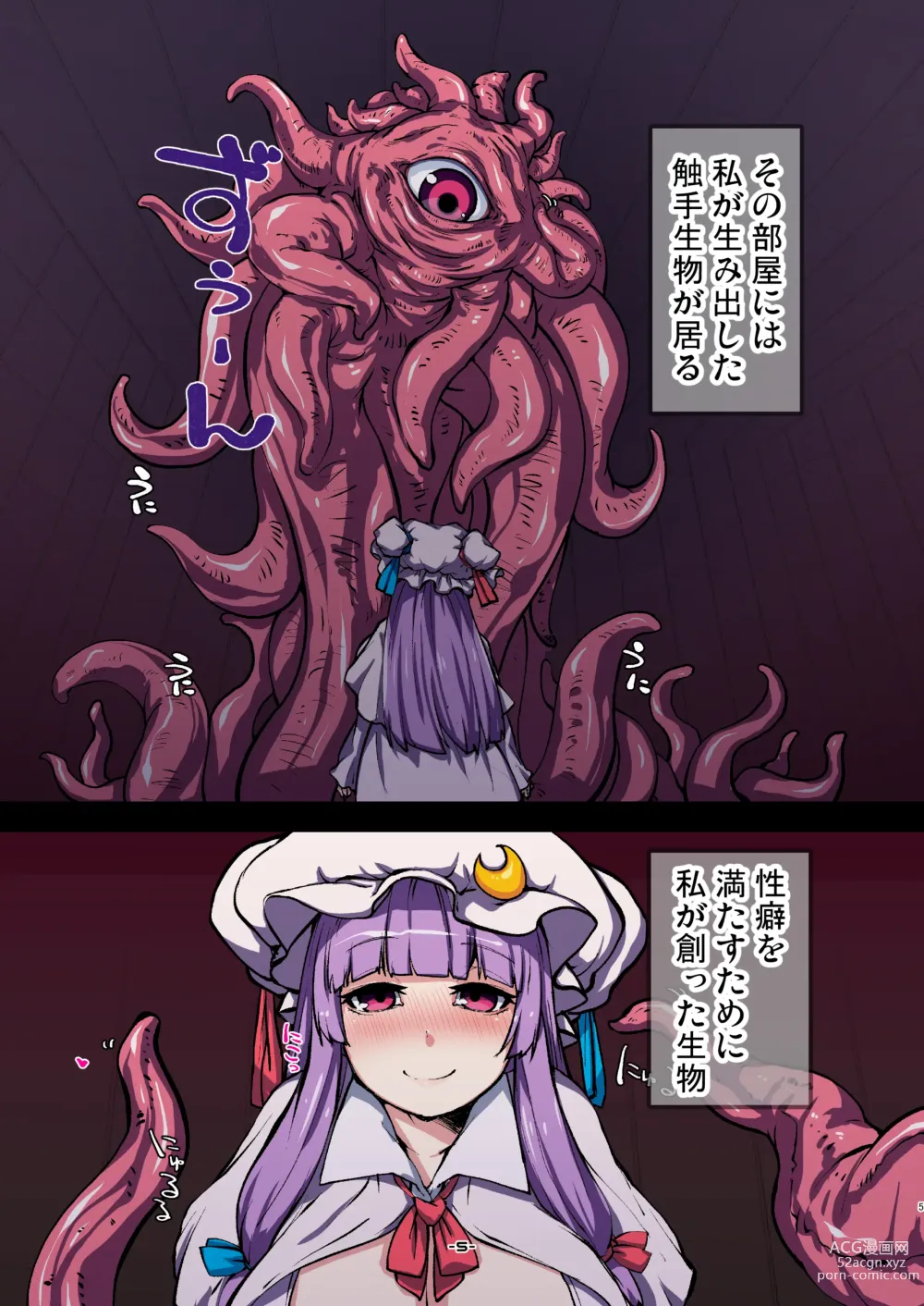 Page 5 of doujinshi Patchouli to Himitu no Anal