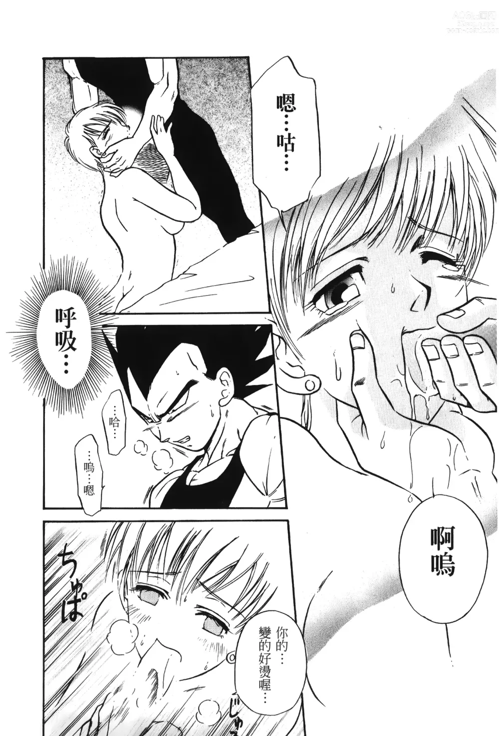 Page 43 of doujinshi ドラゴンパール 01