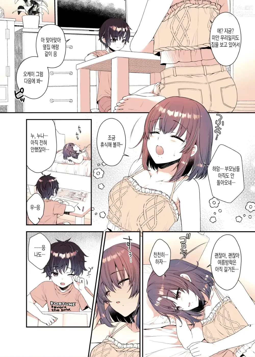 Page 3 of doujinshi 내가 정말 좋아하는 누나