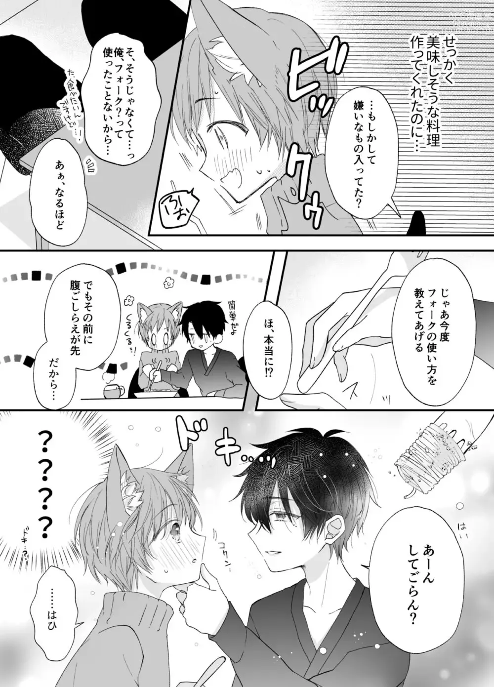 Page 5 of doujinshi Suterareta Kemonohito ga Hirowarete mesuka Choukyou de Pet ni naru hanashi