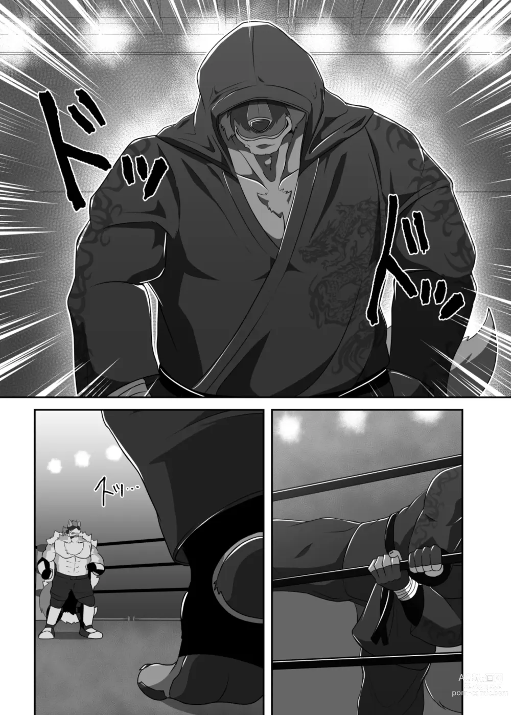 Page 18 of doujinshi Pro Wrestling Kiba 2nd Bout