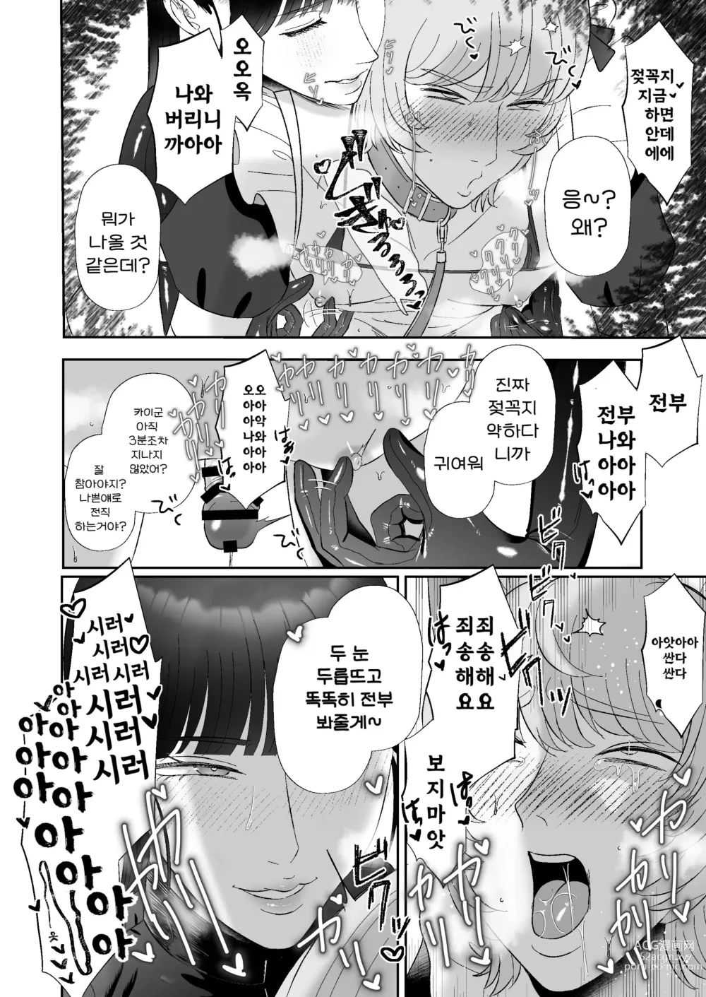 Page 19 of doujinshi 마조가 매우 취향인 누나의 애널조교