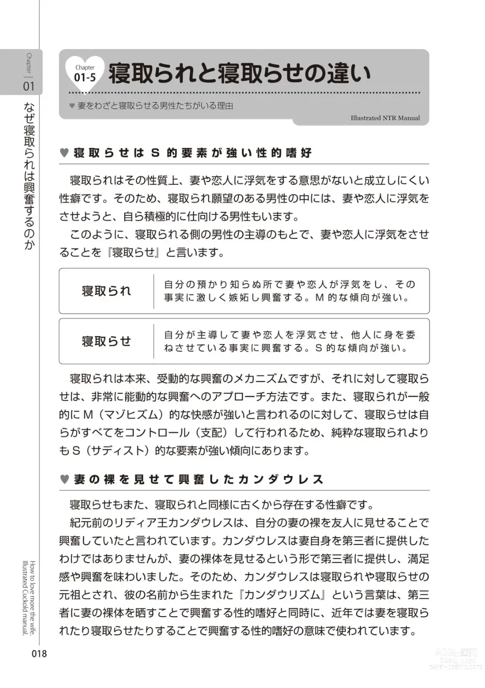 Page 20 of manga Zusetsu NTR Manual